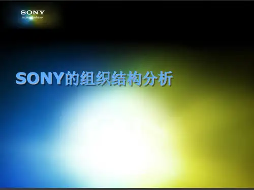 SONY公司的组织结构ppt课件