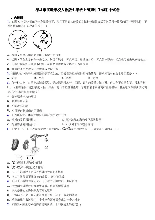 深圳市实验学校人教版七年级上册期中生物期中试卷