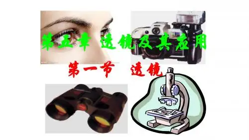 激趣导入