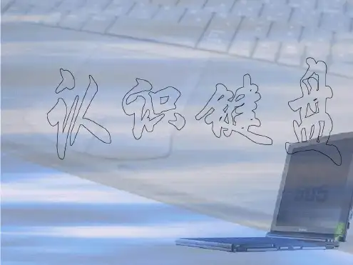 简单培训键盘使用方法43页