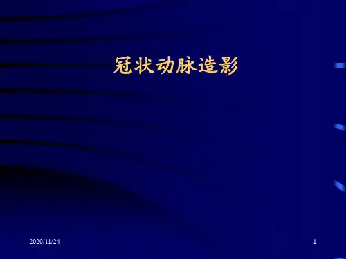 冠脉造影 ppt课件