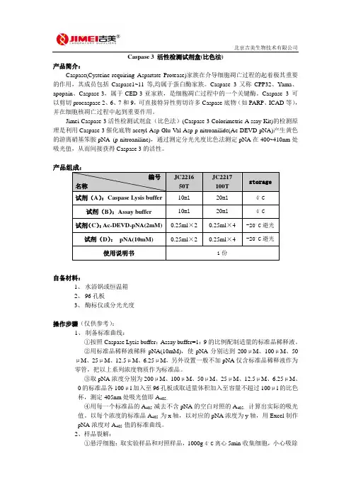 Caspase 3 活性检测试剂盒(比色法)