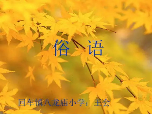 (西师大版)二年级语文上册课件 俗语
