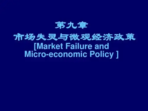 九 市场失灵与微观经济政策