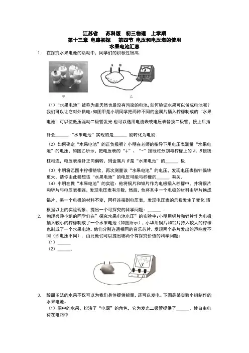 江苏省   苏科版  初三物理  上学期  第十三章 电路初探   第四节 电压和电压表的使用   水果电池汇总