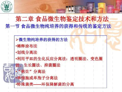 食品微生物鉴定技术和方法共56页文档