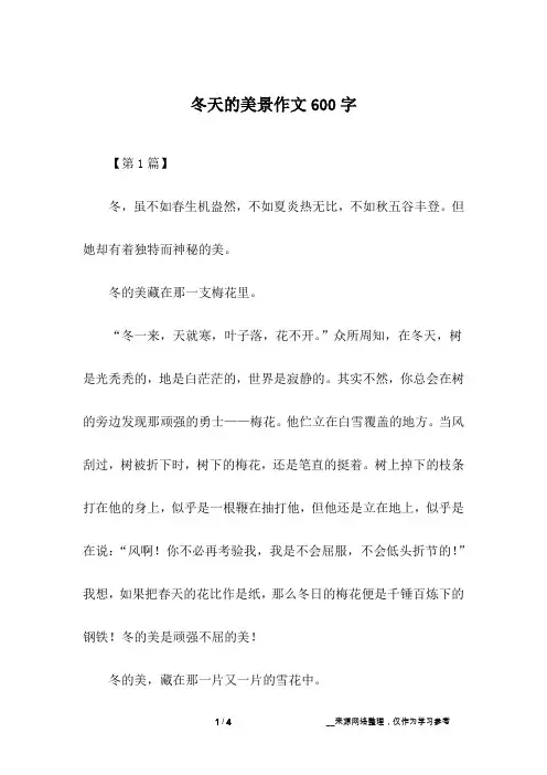 冬天的美景作文600字