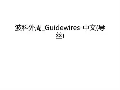 波科外周_Guidewires-中文(导丝)上课讲义48页PPT