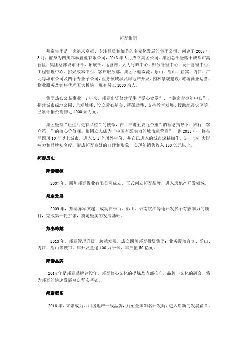 邦泰集团简介