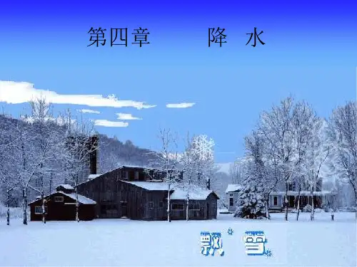 水文学原理(第四章 降水)