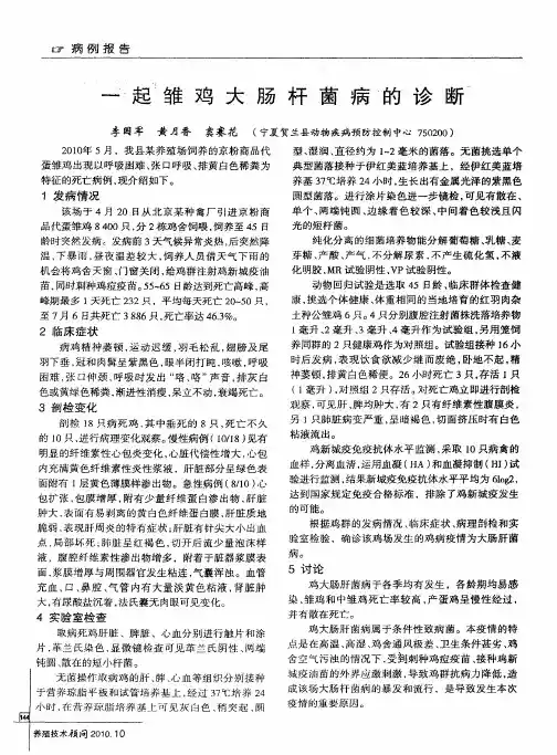 一起雏鸡大肠杆菌病的诊断