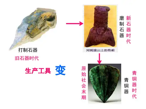 7大变革时代.pptx