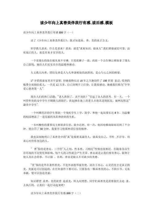 读少年向上真善美伴我行有感_读后感_模板