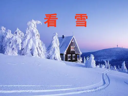 演示文稿看雪一年级