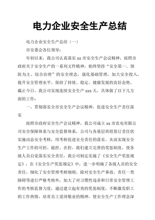 电力企业安全生产总结