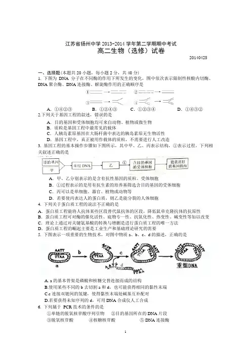 扬州中学2013-2014学年高二下学期期中考试 生物(选修)