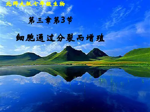 北师大版七年级生物上册 2.3.3细胞通过分裂而增殖 (1)(共14张PPT)