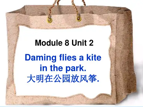 外研社(三起)三年级英语下册Module8 Unit2 Daming flies a kite公开课课件