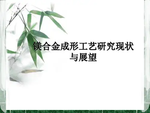 镁合金成型工艺小结PPT课件