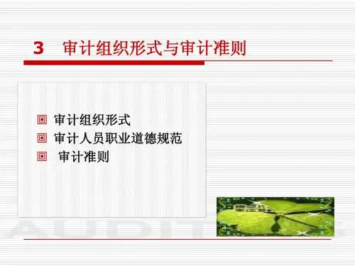第三章 审计组织形式.审计准则与审计依据
