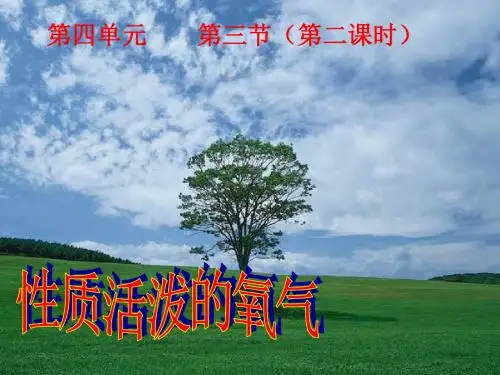 九年级化学性质活泼的氧气2(1)