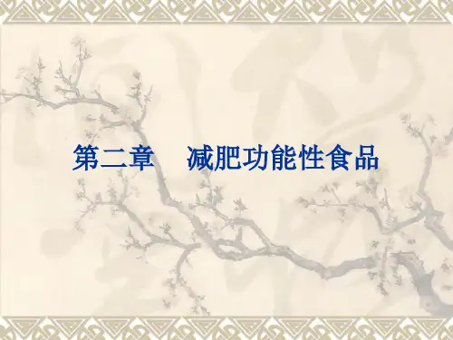 减肥功能性PPT课件