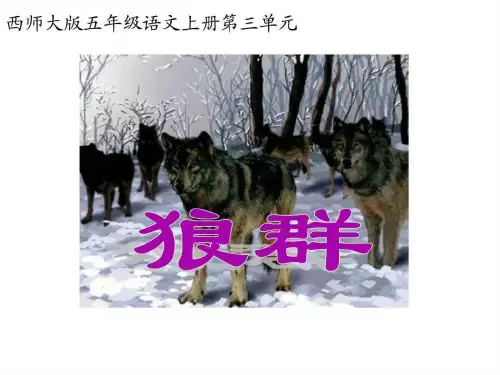 西师大版五级上册语文第11课《狼群》