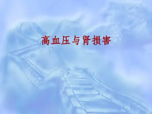 《高血压与肾损害》PPT课件