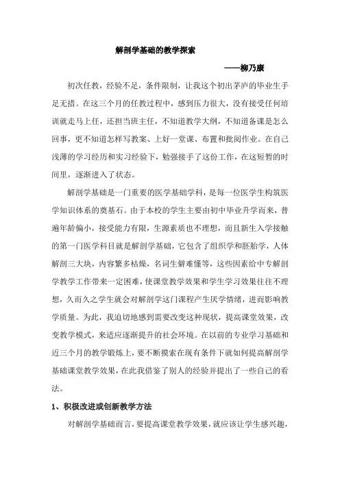 解剖学基础教学