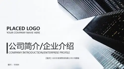 【精美】北京京奥港集团有限公司介绍模板