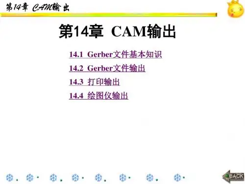 CAM输出