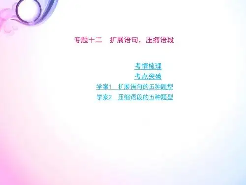 高中 高考语文专项复习 语言文字运用 扩展语句,压缩语段