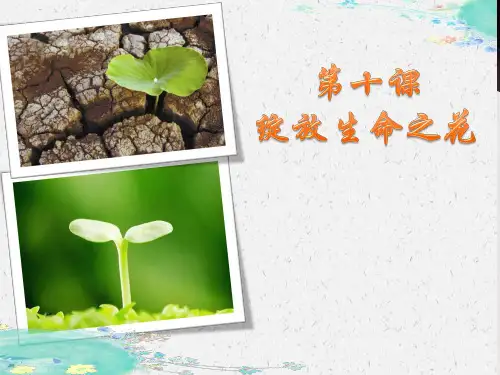 部编人教版七年级《道德与法治》上册10.1《感受生命的意义》精品课件