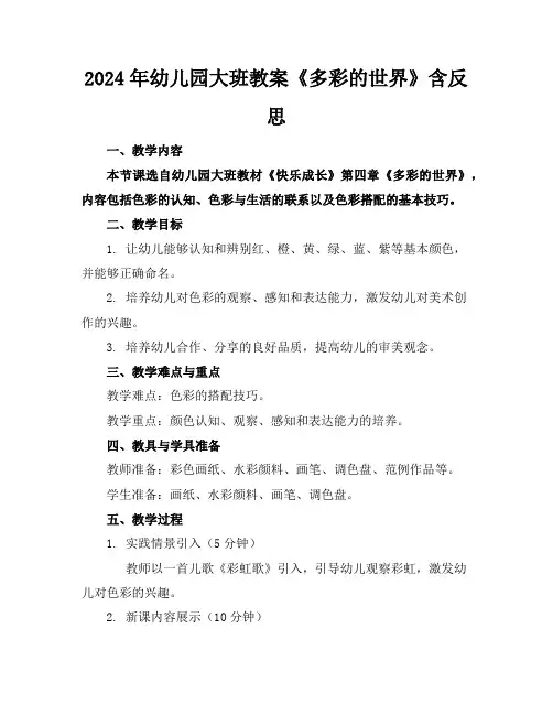 2024年幼儿园大班教案《多彩的世界》含反思
