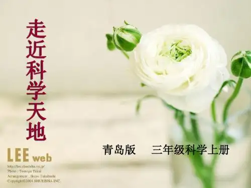 青岛版小学科学三年级上册精品课件《水往高处走》