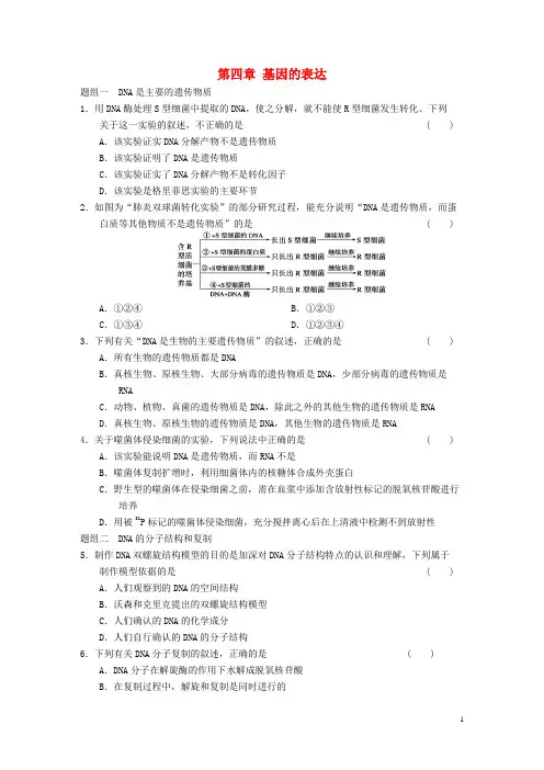 高中生物第四章基因的表达专项训练新人教版必修2