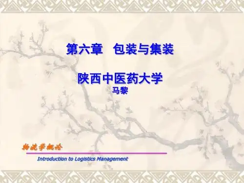 现代包装与集装单元化技术