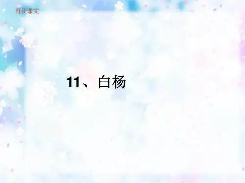 白杨