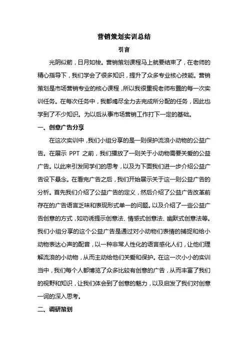 营销策划实训总结