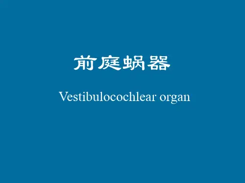 18.系统解剖学前庭蜗器