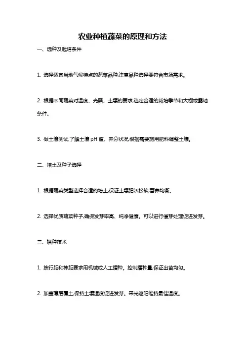 农业种植蔬菜的原理和方法