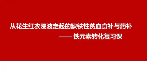 高中化学《从花生红衣浸液走起的缺铁性贫血食补与药补》优质教学课件设计