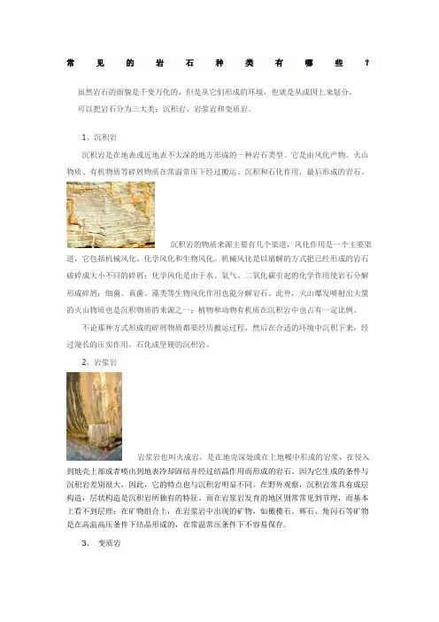 常见的岩石种类有哪些