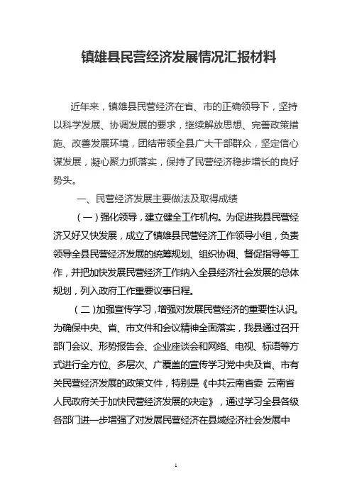 民营经济发展汇报材料