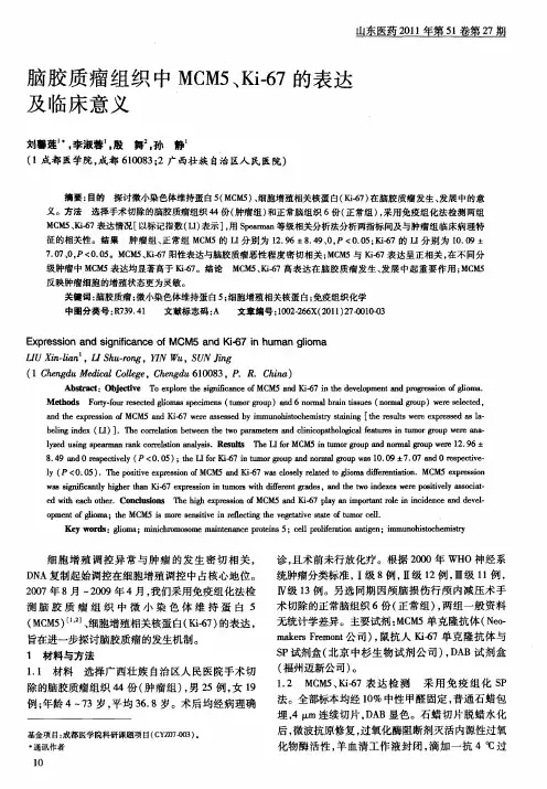 脑胶质瘤组织中MCM5、Ki-67的表达及临床意义