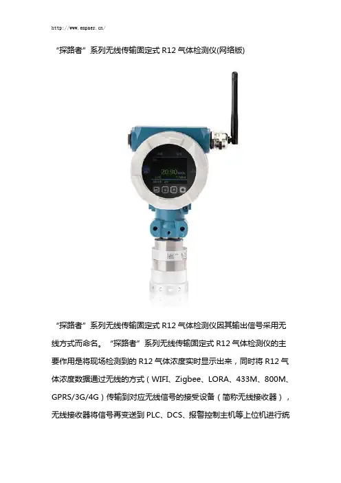 “探路者”系列无线传输固定式R12报警器(网络版)