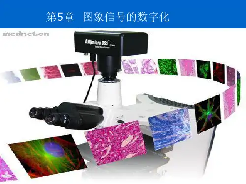 数字通信原理 第五章(新)