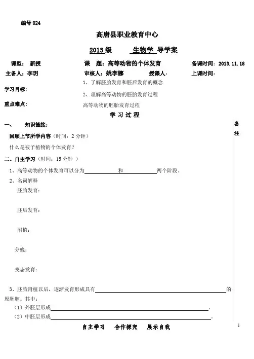 高等动物的个体发育