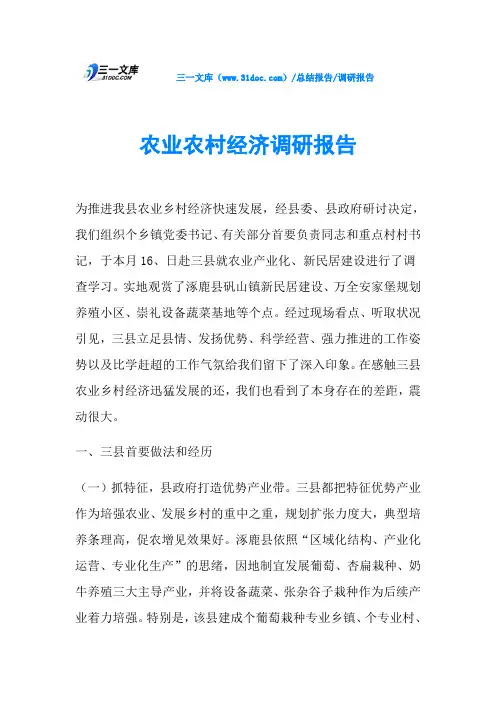 农业农村经济调研报告