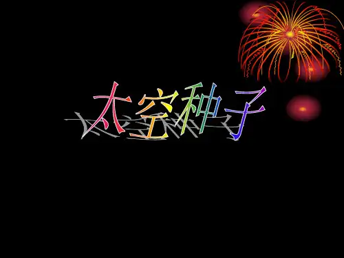 24太空种子